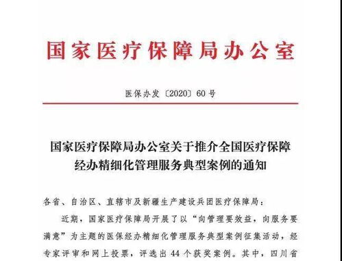 医保服务成功案例